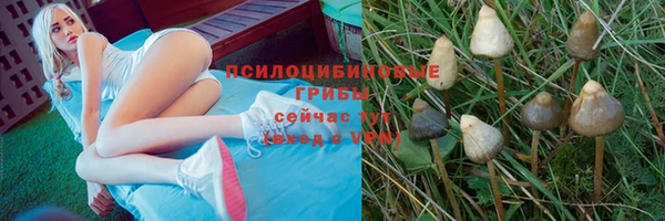 a pvp Богданович