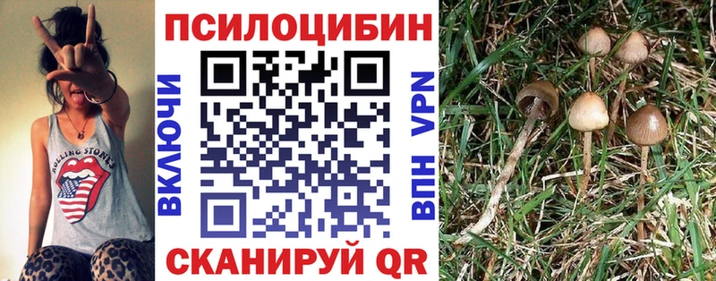 shop клад  Старый Оскол  Псилоцибиновые грибы мицелий 